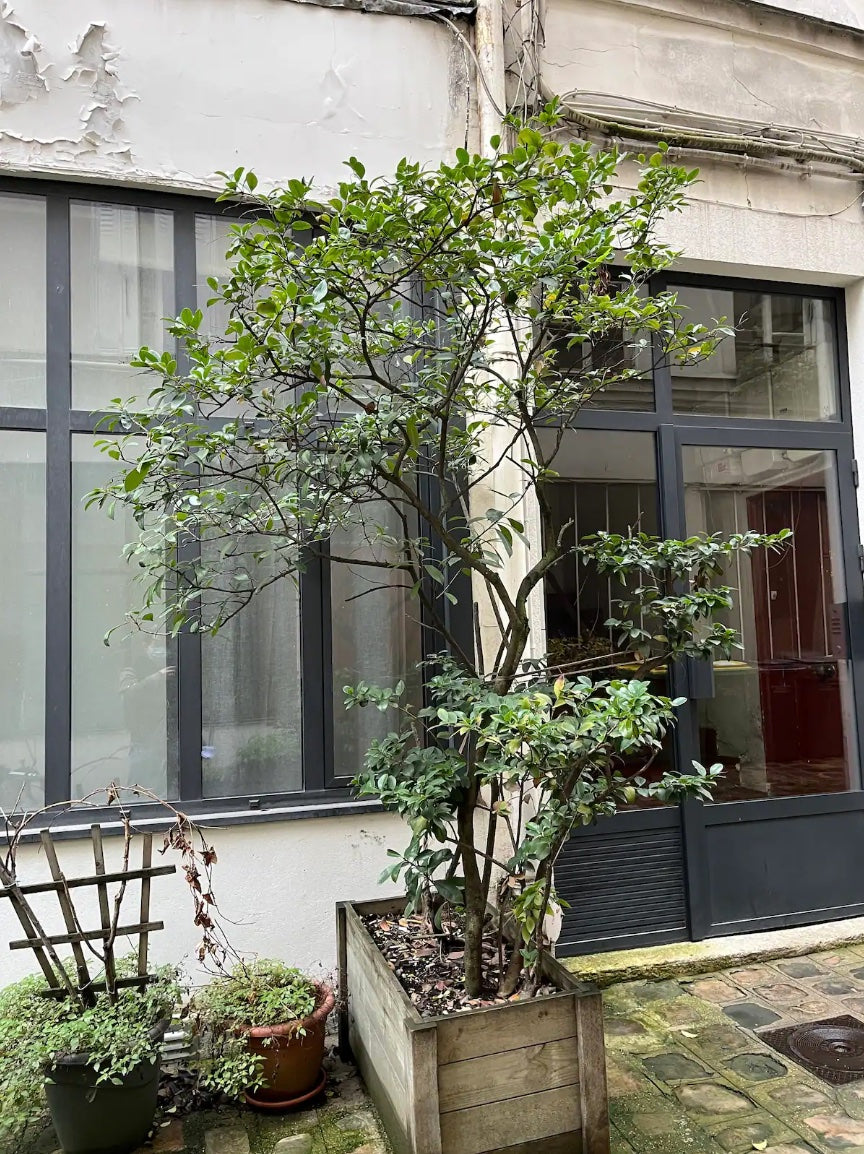 DESIGN LOFT IN THE MARAIS